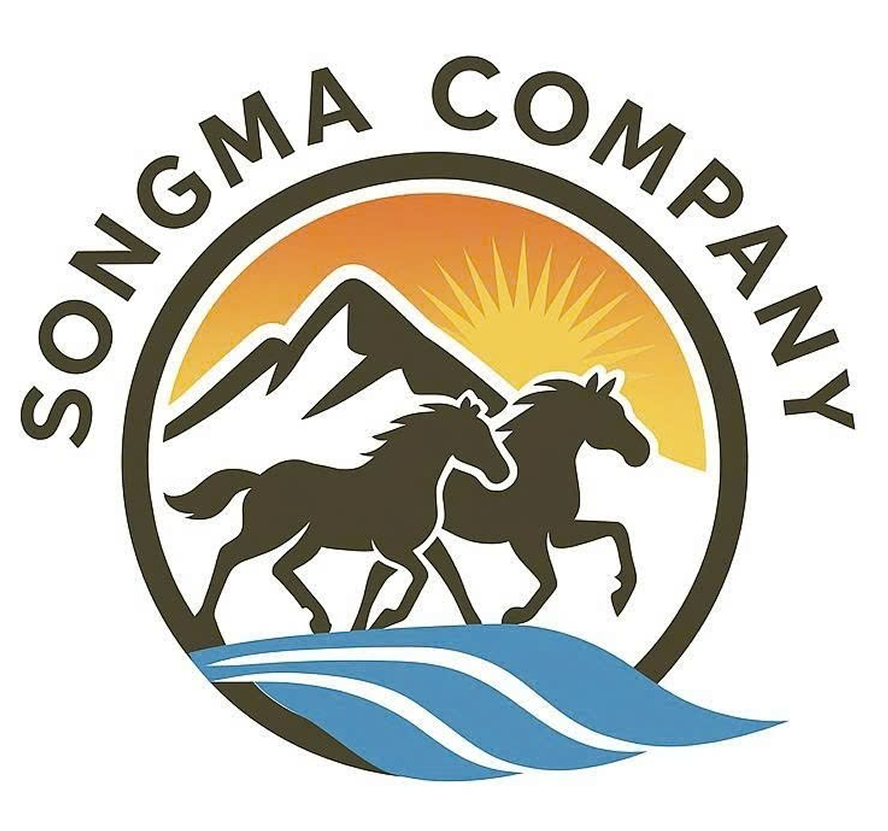 CÔNG TY TNHH ĐẦU TƯ XÂY DỰNG VÀ DỊCH VỤ THƯƠNG MẠI TRƯỜNG HƯNG